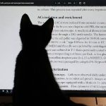 小木的头像-NaPlugCat-答疑插件发布